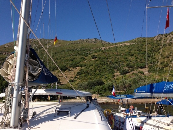 20130617-082632.jpg